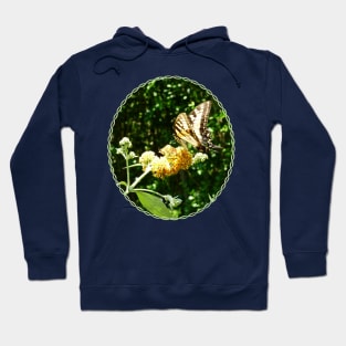 Butterfly Bush - Swallowtail on Yellow Butterfly Bush Hoodie